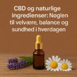 generated_image_1759835115707