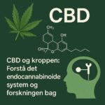 generated_image_1759835263998