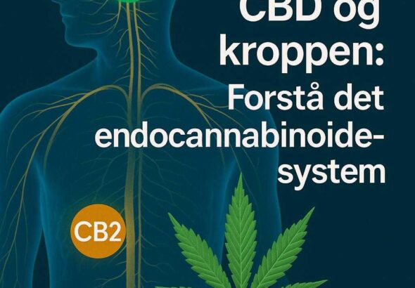 generated_image_1759835947932