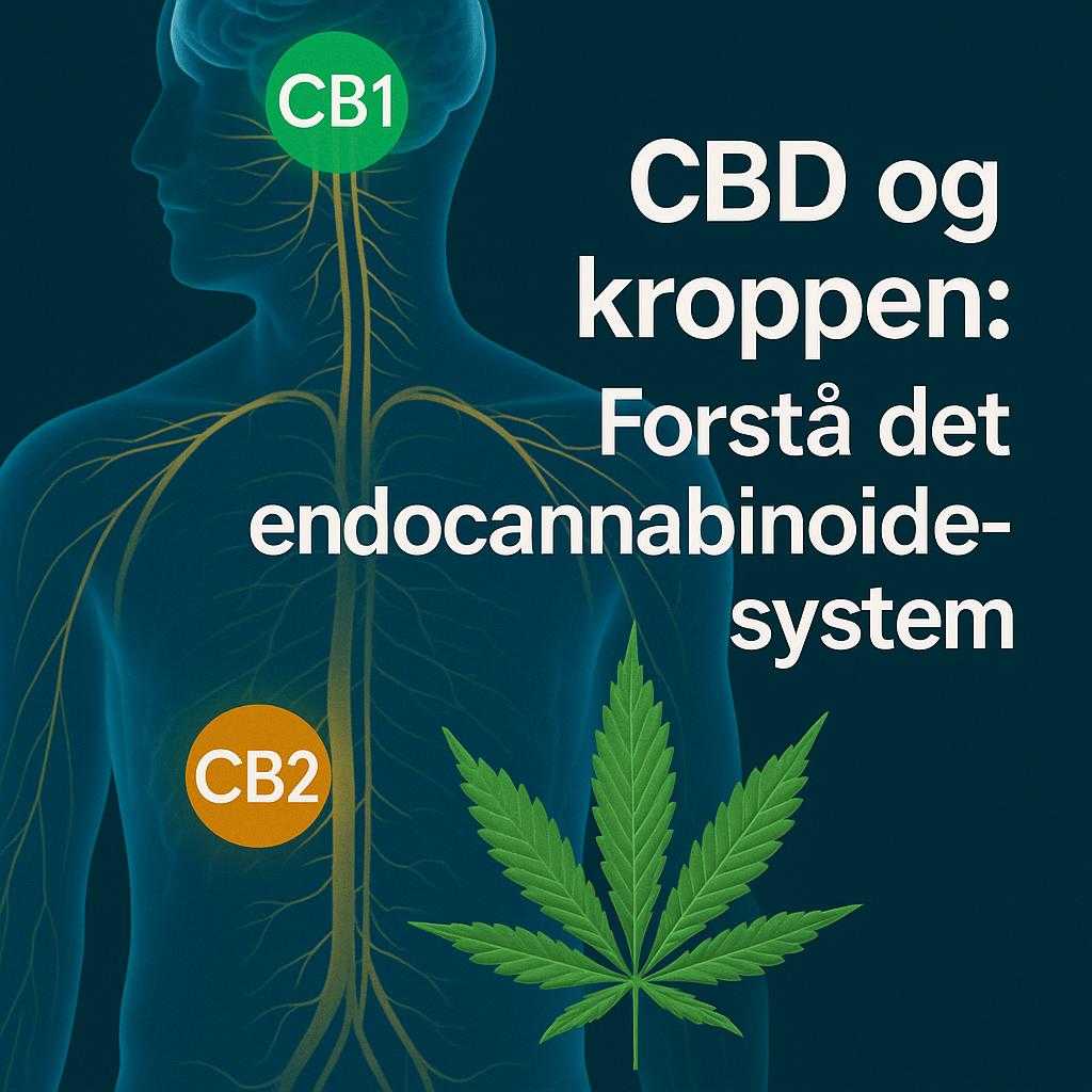 generated_image_1759835947932